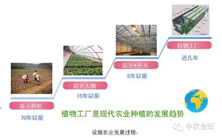 植物工厂 现代农业的投资新宠与投资管理策略
