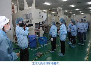 中国生活用纸和卫生用品信息网投资管理 精准战略下的价值布局策略