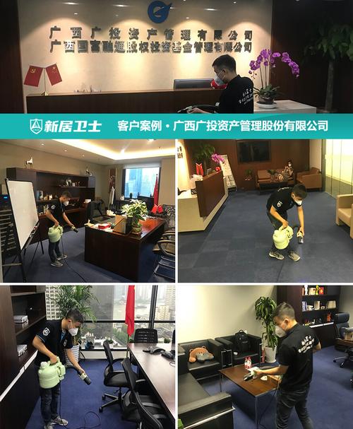 广西南宁广投资产管理股份有限公司除甲醛项目投资管理分析